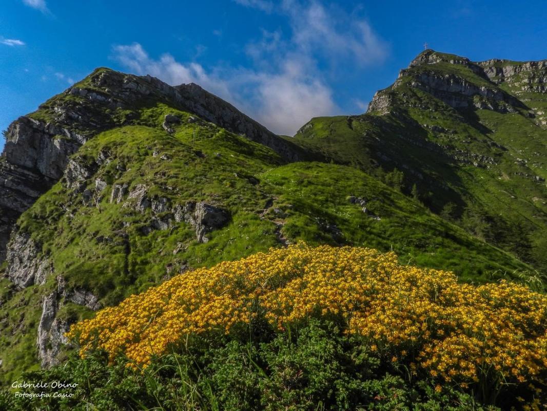 Antica Locanda La Posta Gaggio Montano Ngoại thất bức ảnh